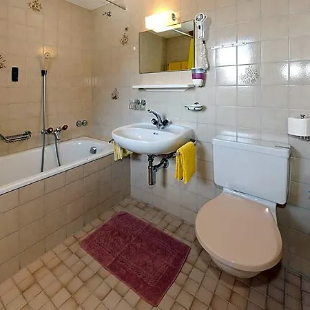 Hotell Zum Grächen